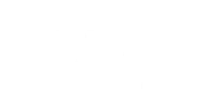 NAAR USA logo