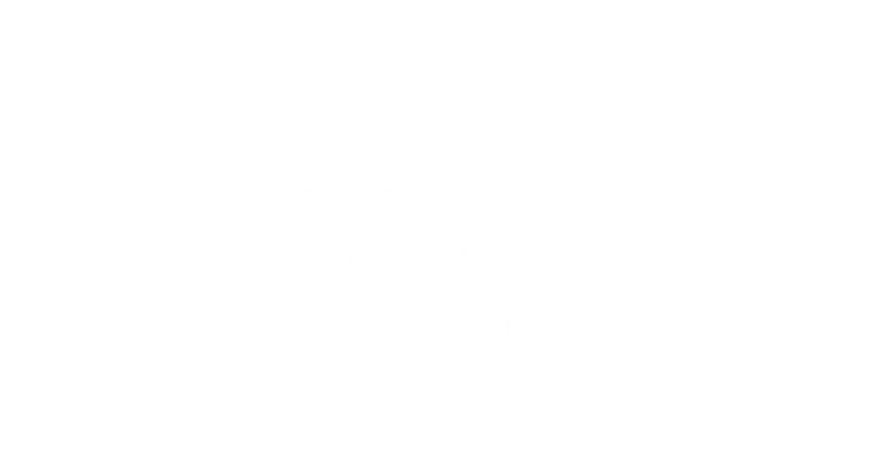 NAAR USA logo